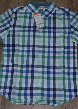 Gymboree рубашка с коротким рукавом