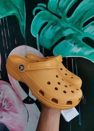 Крокс класік клог помаранчеві crocs classic clog orange sorbet