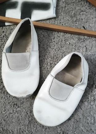 Шкіряні чешки