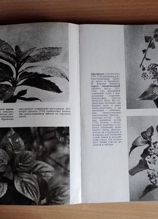 Книга ф. новак иллюстрированная энциклопедия растений 19857 фото