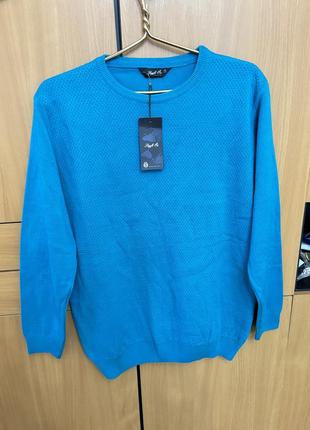 Чоловічий светр бірюзового кольору, джемпер, гольф