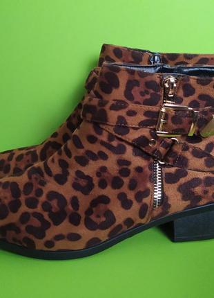 Леопардові ботильйони із золотою пряжкою studio, 7/402 фото