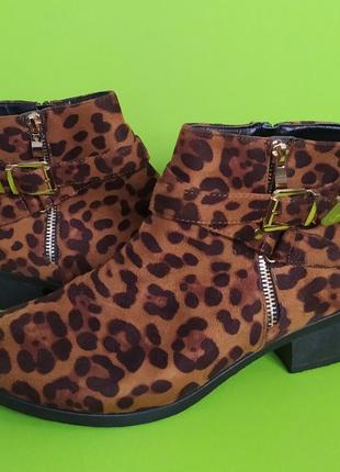 Леопардові ботильйони із золотою пряжкою studio, 7/40