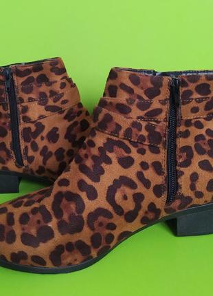 Леопардові ботильйони із золотою пряжкою studio, 7/407 фото