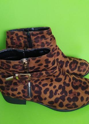 Леопардові ботильйони із золотою пряжкою studio, 7/406 фото