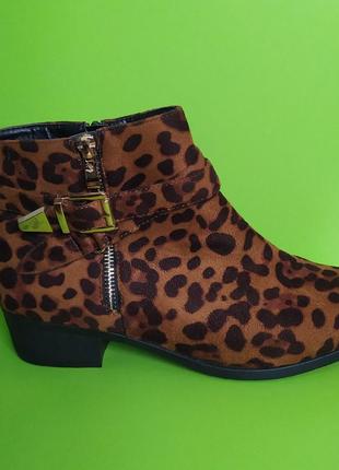 Леопардові ботильйони із золотою пряжкою studio, 7/4010 фото