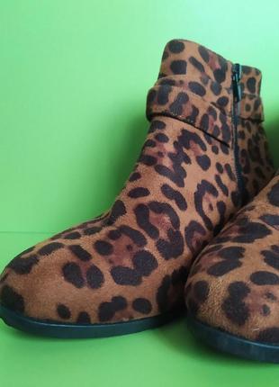 Леопардові ботильйони із золотою пряжкою studio, 7/404 фото