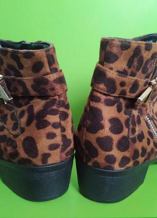 Леопардові ботильйони із золотою пряжкою studio, 7/405 фото