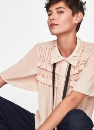 Блуза zara,жіноча пудрова блуза з рюшами zara3 фото