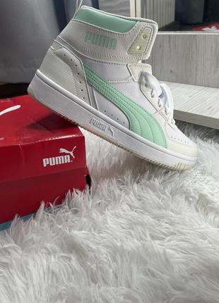 Оригинальные кеды puma3 фото