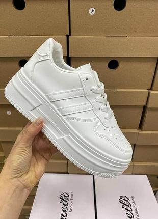 Кросівки 24.5см