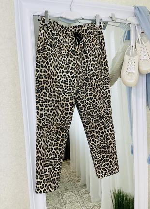 Rich and royal  леопардовые штаны брюки джоггеры8 фото