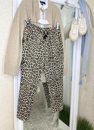 Rich and royal  леопардовые штаны брюки джоггеры2 фото