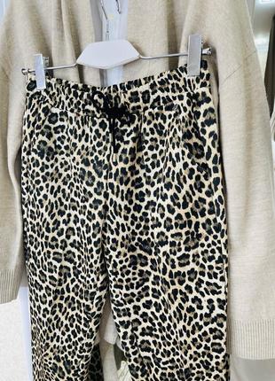 Rich and royal  леопардовые штаны брюки джоггеры4 фото