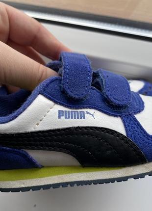 Кроссовки puma1 фото