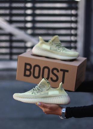 Жіночі кросівки adidas yeezy boost 350 antlia