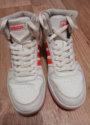 Кроссовки кроссовки хайтопы adidas hoops mid