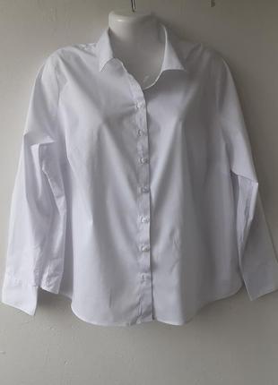 Біла базова сорочка marks&spencer p 44-461 фото