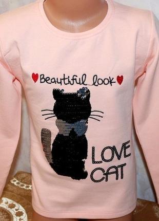 Утеплені реглани кошеня міняє колір