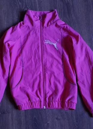 Курточка,ветровка.