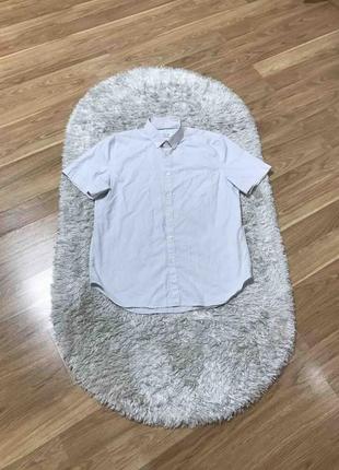 Рубашка lacoste regular fit