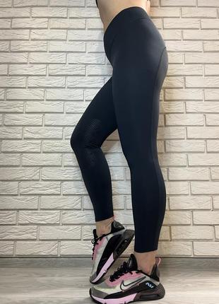 Лосини утеплені для верхової їзди з колінною леєю hy equestrian ladies oslo softshell riding tights5 фото