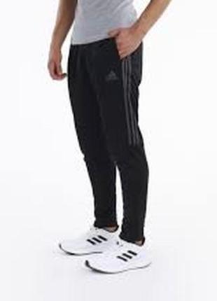 Спортивные штаны adidas m sereno pt h28914 black/gresix2 фото