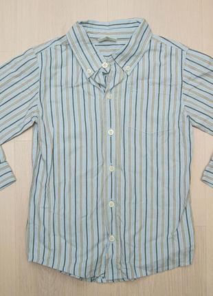 Футболка crazy8 для хлопчика 5 років