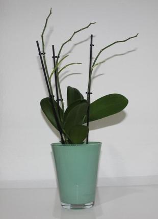 Горшок для орхидеи8 фото