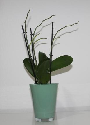 Горшок для орхидеи2 фото