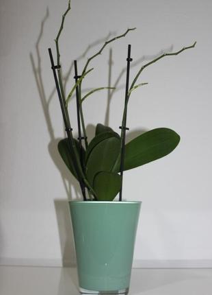 Горшок для орхидеи1 фото