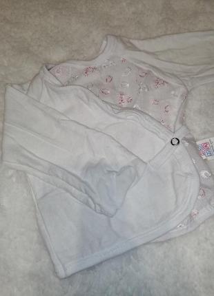 Льлы нежная белая