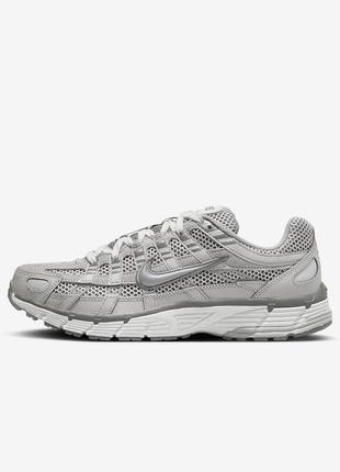 Nike p-6000 premium