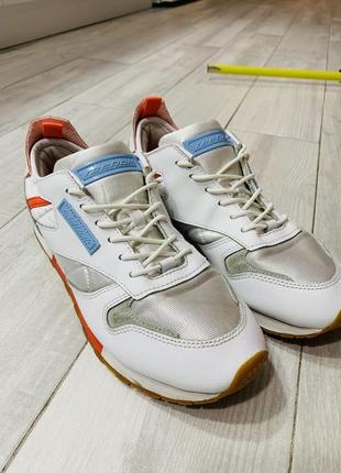 Кроссовки reebok classics leather dux1 фото