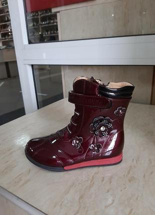 Чоботи демі