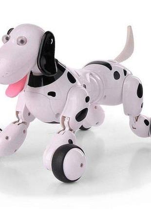 Робот-собака р/у happy cow 777-338 smart dog (чёрный) (hc-777-338b)