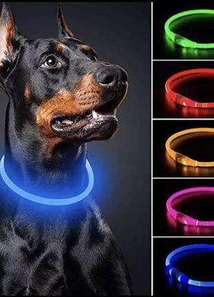 Ошейник рожевий для собак світлодіодний usb перезаряджається миготливий нічний нашийник собаки світяться  35см1 фото