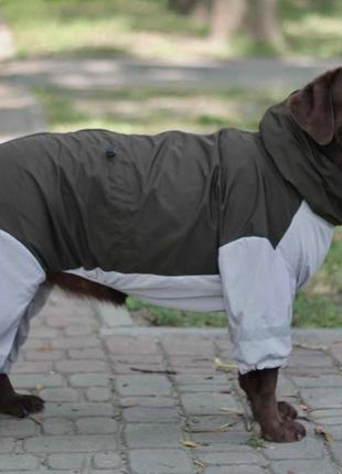Дощовик для великих собак хакi з сiрим mb-41 фото