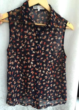 Шифонова блуза cameo rose принт пташки р. xs/s сорочка блузка як zara bershka mango