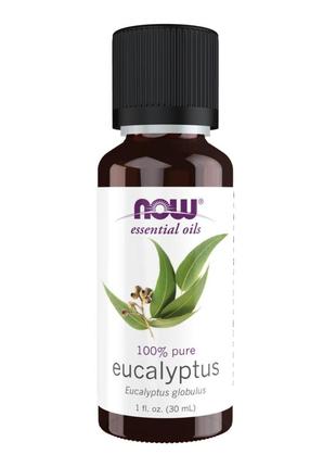 Now eucalyptus globulus oil - 30ml (1fl.oz)