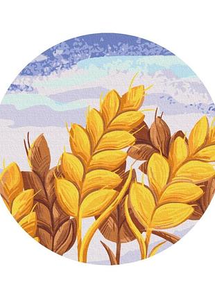 Колоски  © didevych kateryna