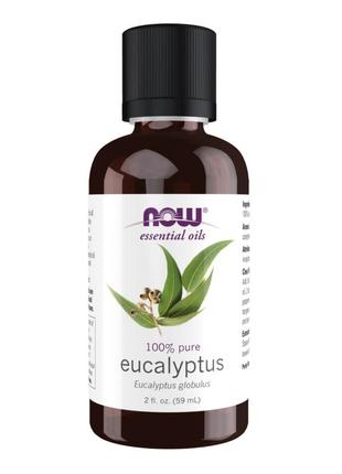 Now eucalyptus globulus oil - 59ml (2oz)1 фото