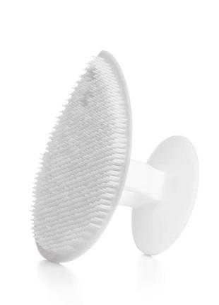 Набір вакуумних банок для масажу обличчя + органічна нерафінована олія макадамії...