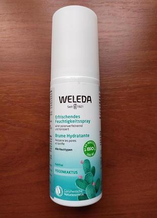 Увлажняющий спрей webeda
