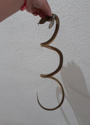 Іграшка змія гумова 120 см4 фото