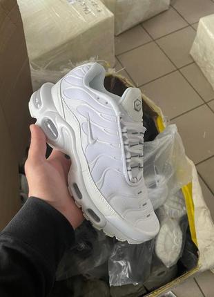 Кроссовки "nike" air max tn plus white