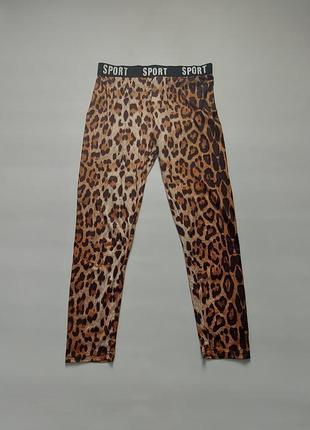 Брюки спортивные леггинсы shein, женские