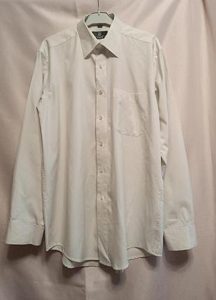 Сорока чоловіча