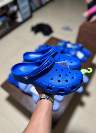 Крокс классік клог світло сині crocs classic clog bright cobalt1 фото