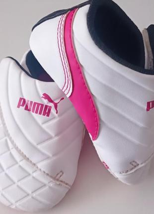 Tопики puma